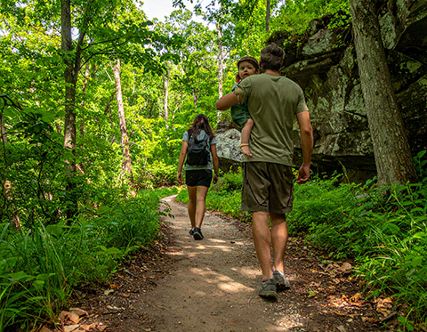 Knobstone Trail